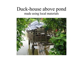Duck-house above pond made using local materials 