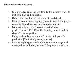 Interventions tested so far Ditch/pond/canal in the low land to drain excess water to make the low land cultivable Raised beds and bunds, Levelling of Paddyfield Change from mono-cropping system to mixed cropping – reducing dependency on single crop/animal etc Integrating field  crop Subsystem ,with Home garden,Orchard, Fish Pond,Cattle subsystems to reduce risks of  total crop failure. Using each and every vertical & horizontal space for production[Multi storey arrangements] introducing bio gas ,azolla,Vermicompost to recycle all waste,reduce pollution,increase C Seq potential of soils. 
