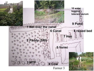1 Net over the canal 2 Paddy (SRI) 3 MTP 4 Cow 5 Vermi 6 Canal 9 Pond 7 Hen 8 raised bed 10 water logging tolerant  aurum Farmer 3 