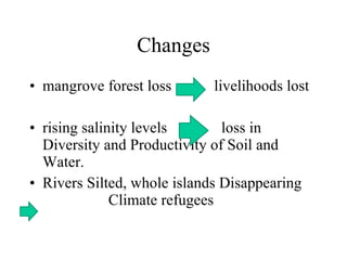 Changes mangrove forest loss  livelihoods lost rising salinity levels  loss in  Diversity and Productivity of Soil and Water. Rivers Silted, whole islands Disappearing  Climate refugees 