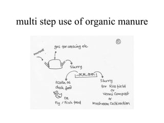 multi step use of organic manure 