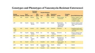 Genotypes and Phenotypes of Vancomycin-Resistant Enterococci
 