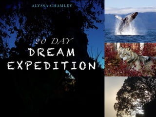Dream Expedition