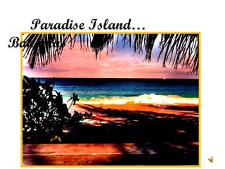 Paradise Island… Bahamas 