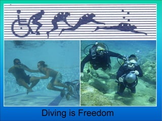 Diving is Freedom 