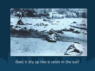 Does it dry up like a raisin in the sun? 