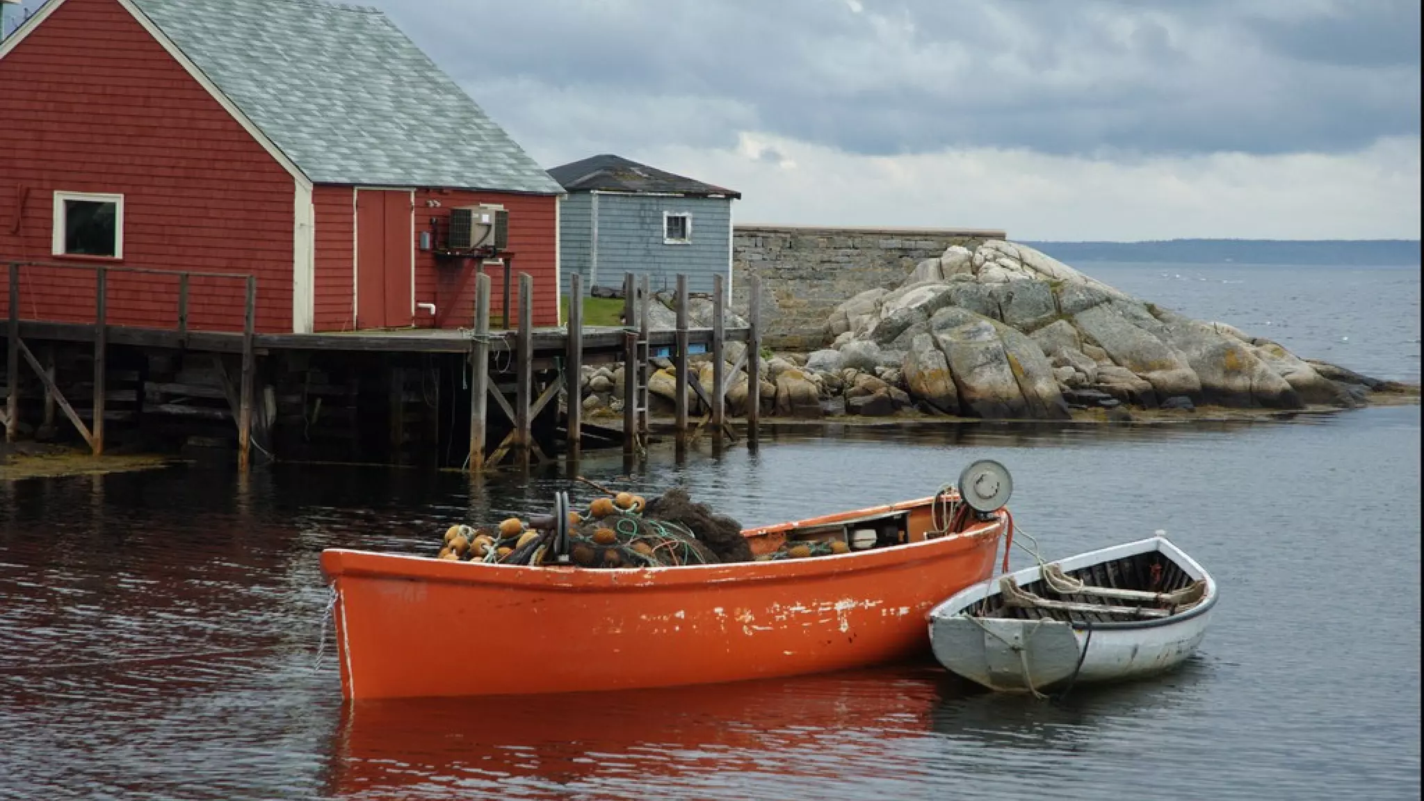 Safer harbor




  #DF12Social
 