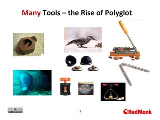 11
Many Tools – the Rise of Polyglot
 