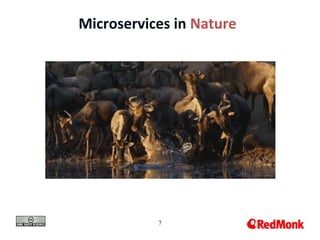 7
Microservices in Nature
 