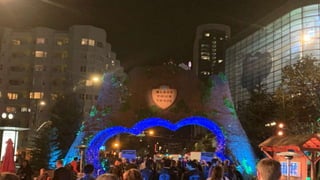 Dreamforce Pictures