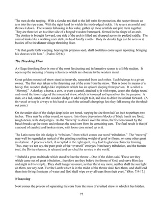 The men do the reaping. With a slender rod tied to the left wrist for protection, the reaper thrusts an
arm into the ripe corn. With the right hand he wields the tooth-edged sickle. He severs an armful and
throws it down. The women following in his wake, gather up these armfuls and pile them together.
They are then tied on to either side of a hinged wooden framework, formed in the shape of an arch.
The donkey is brought forward, one side of the arch is lifted and dropped across its padded saddle. The
animal looks like a walking corn stalk, its head hardly visible. Only its slender legs can be seen as it
bustles off to the distant village threshing floor.

“He that goeth forth weeping, bearing his precious seed, shall doubtless come again rejoicing, bringing
his sheaves with him.” (Psalm 126:6.)

The Threshing Floor

A village threshing floor is one of the most fascinating and informative scenes to a Bible student. It
opens up the meaning of many references which are obscure to the western mind.

Great golden mounds of straw stand at intervals, separated from each other. Each belongs to a given
owner. The first step taken is the threshing out of the corn from the straw. This is done by means of a
heavy, flat, wooden sledge-like implement which has an upward sloping front portion. It is called a
“Mowrej.” A donkey, a horse, a cow, or even a camel, attached to it with ropes, draws the sledge round
and round the lower edge of the mound of straw, which is loosened and spread out for the purpose. A
man, or a lad, stands on the wooden sledge to add weight to it, and also to drive the animal forward. (A
tin vessel or tray is always to his hand to catch the animal's droppings lest they fall among the threshed-
out corn.)

On the under side of the sledge deep holes are bored, varying in size from half an inch to perhaps two
inches. They may be either round, or square. Into these depressions blocks of black basalt are fixed,
rough-hewn, with sharp edges. As the “mowrej” is drawn over the straw, the friction caused by the
basalt breaks up the straw and releases the seed corn from its containing ears. The final result is that of
a mound of crushed and broken straw, with loose corn mixed up in it.

The Latin name for this sledge is “tribulum,” from which comes our word “tribulation.” The “mowrej”
may well be regarded as typical of the grinding crushing weight of grief or illness, or some other great
misfortune. A process which, if accepted in the right spirit, may lead to glorious character training.
Thus, may we not say, the pure grain of the “overself” emerges from heavy tribulation, and the human
soul, the Divine element, is released and enriched for service in the world.

“I beheld a great multitude which stood before the throne ...One of the elders said, 'These are they
which came out of great tribulation...therefore are they before the throne of God, and serve Him day
and night in His temple...They shall hunger no more, neither thirst any more, neither shall the sun light
on them, nor any heat. For the Lamb which is in the midst of the throne shall feed them, and shall lead
them into living fountains of water and God shall wipe away all tears from their eyes'.” (Rev. 7:9-17.)

Winnowing

Next comes the process of separating the corn from the mass of crushed straw in which it lies hidden.

                                                    77
 