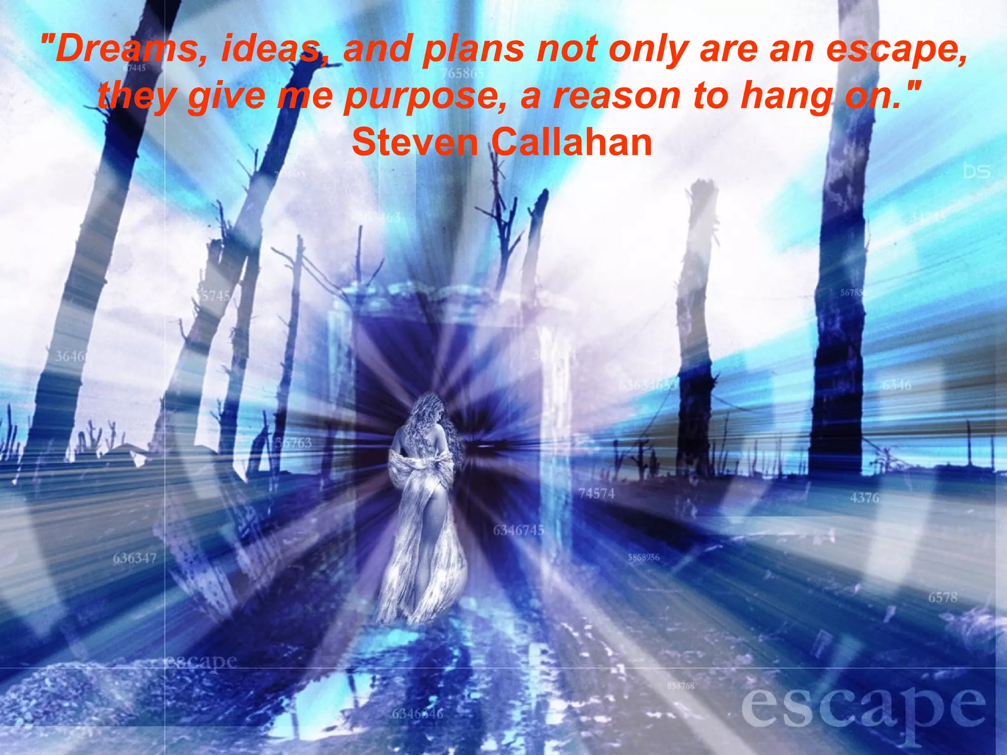 "Dreams, ideas, and plans not only are an escape,  they give me purpose, a reason to hang on." Steven Callahan  