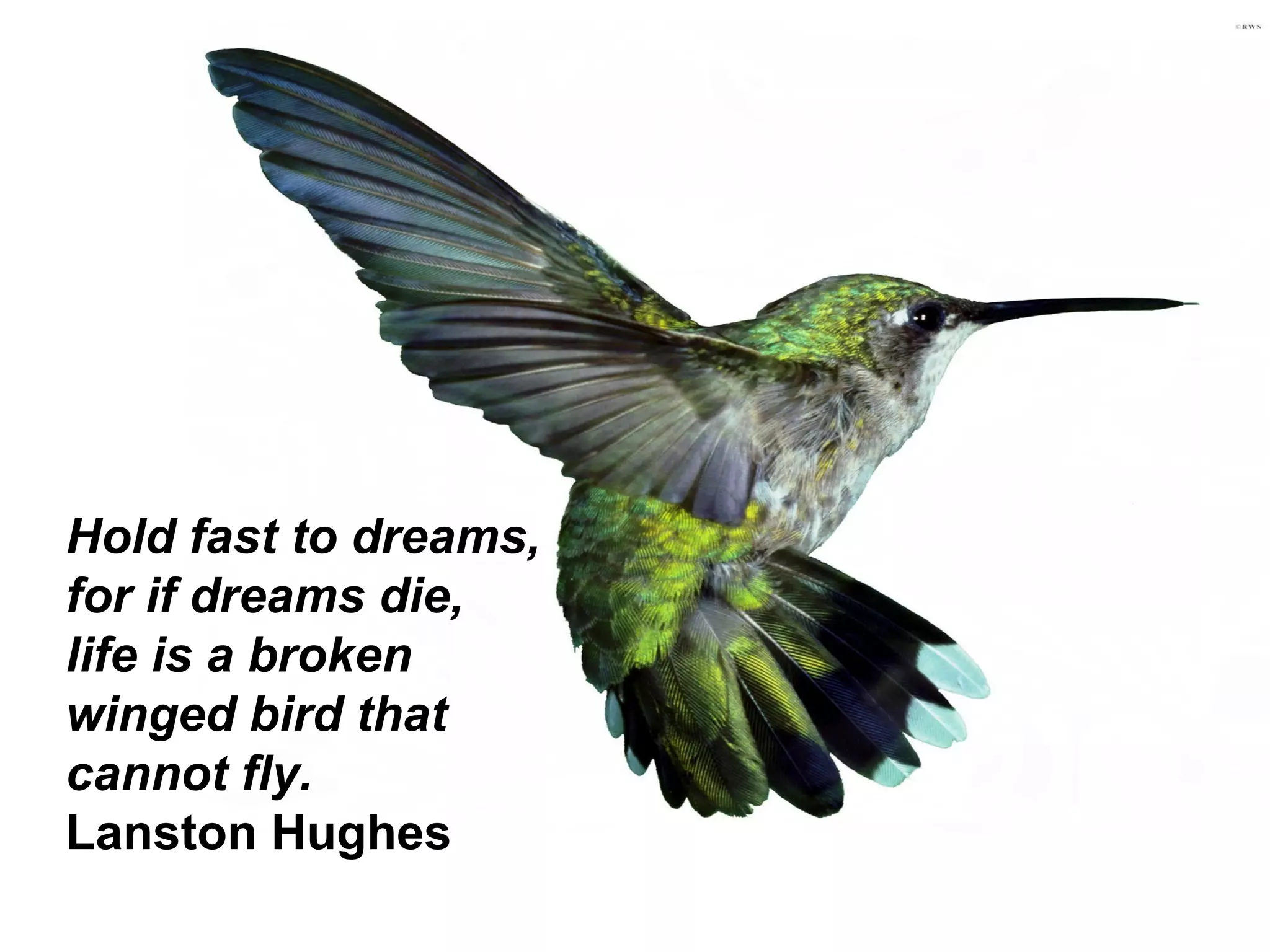 Hold fast to dreams,  for if dreams die,  life is a broken winged bird that cannot fly. Lanston Hughes 