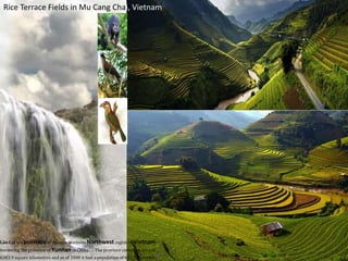 Rice Terrace Fields in Mu Cang Chai, Vietnam
Lào Cai is a province of the mountainous Northwest region of Vietnam
bordering the province of Yunnan in China.
[1]
The province covers an area of
6383.9 square kilometres and as of 2008 it had a population of 602,300 people.
[2]
 