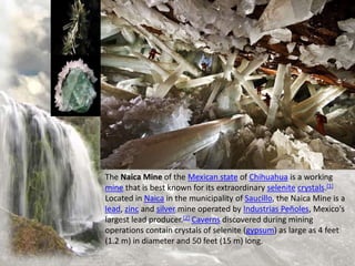 The Naica Mine of the Mexican state of Chihuahua is a working
mine that is best known for its extraordinary selenite crystals.[1]
Located in Naica in the municipality of Saucillo, the Naica Mine is a
lead, zinc and silver mine operated by Industrias Peñoles, Mexico's
largest lead producer.[2] Caverns discovered during mining
operations contain crystals of selenite (gypsum) as large as 4 feet
(1.2 m) in diameter and 50 feet (15 m) long.
 