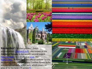 Keukenhof ("Kitchen garden", Dutch
pronunciation: [ˈkøːkə(n)ˌɦɔf]), also known as the
Garden of Europe, is the world's second largest
flower garden . It is situated in Lisse, the
Netherlands. According to the official website for the
Keukenhof Park, approximately 7 million flower bulbs
are planted annually in the park, which covers an
area of 32 hectares (79 acres).[2]
 