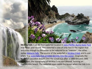 McWay Falls is an 80-foot waterfall located in Julia Pfeiffer Burns State Park
that flows year-round. This waterfall is one of only two in the region that
are close enough to the ocean to be referred to as "tidefalls", the other
being Alamere Falls. The source of the waterfall is McWay Creek and is one
of the few waterfalls that empties directly into the ocean. Originally the
waterfall cascaded directly into the ocean but after a 1983 fire and 1985
landslides, the topography of McWay Cove was altered, forming an
inaccessible beach. The waterfall now meets the ocean when the tide is in.
 