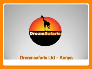 Dreamsafaris Ltd – Kenya

 