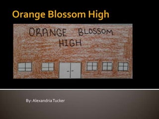 Orange Blossom High  By: Alexandria Tucker 