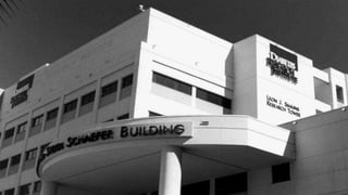 DREAMS in the City Media Loop 