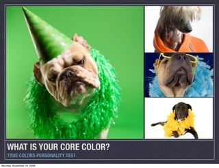 WHAT IS YOUR CORE COLOR?
    TRUE COLORS PERSONALITY TEST
Monday, November 16, 2009
 