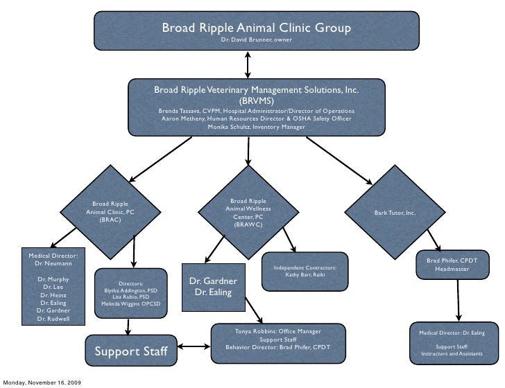 Veterinary Organizational Chart