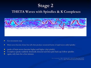 Stage 2   THETA Waves with Spindles & K Complexes Eye movements stop Brain waves become slower but will often produce occasional bursts of rapid waves called spindles peaks of brain waves become higher and higher ( sleep spindles )  k-complexes  (peaks suddenly drastically descend and then pick back up) follow spindles  again, only lasts for a few minutes  Source:  Psychology World  - http://web.umr.edu/~psyworld/sleep_stages.htm#2 Dream Views:  http://www.dreamviews.com/sleepstages.php 