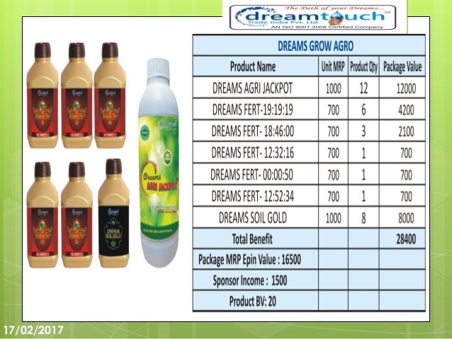 Dreamtouch business plan 03 image