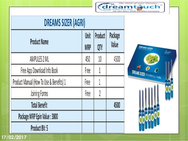 Dream touch business plan 07 picture