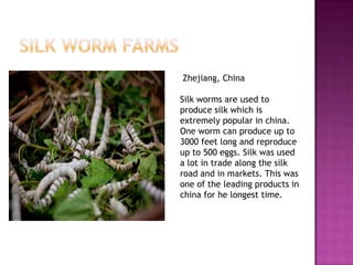 Zhejiang, China

Silk worms are used to
produce silk which is
extremely popular in china.
One worm can produce up to
3000 feet long and reproduce
up to 500 eggs. Silk was used
a lot in trade along the silk
road and in markets. This was
one of the leading products in
china for he longest time.
 