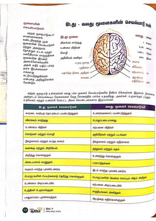 DREAM TRS 6 Sept 2023.pdf