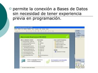 permite la conexión a Bases de Datos sin necesidad de tener experiencia previa en programación.  