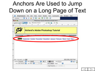 Anchors Are Used to Jump
Down on a Long Page of Text
 