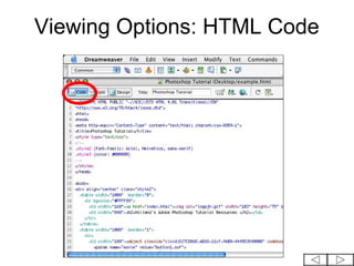 Viewing Options: HTML Code
 