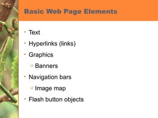 Basic Web Page Elements Text Hyperlinks (links) Graphics Banners Navigation bars Image map Flash button objects 
