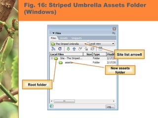 Fig. 16: Striped Umbrella Assets Folder (Windows) Root folder New assets folder Site list arrow8 