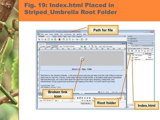 Fig. 19: Index.html Placed in Striped_Umbrella Root Folder Broken link icon Path for file Root folder Index.html 