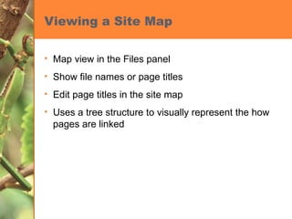 Viewing a Site Map Map view in the Files panel Show file names or page titles Edit page titles in the site map Uses a tree structure to visually represent the how pages are linked 