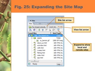 Fig. 25: Expanding the Site Map Site list arrow View list arrow Expand to show local and remote sites 