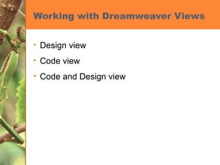 Working with Dreamweaver Views Design view Code view Code and Design view 