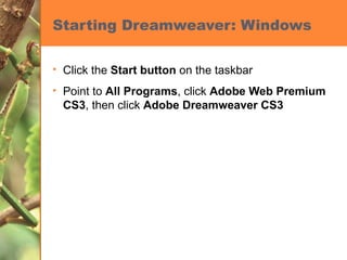 Starting Dreamweaver: Windows Click the  Start button  on the taskbar Point to  All Programs , click  Adobe Web Premium CS3 , then click  Adobe Dreamweaver CS3 