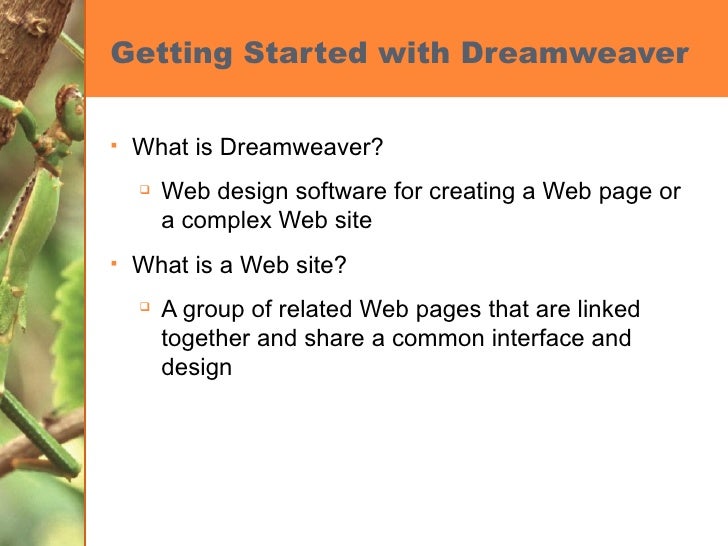 what is dreamweaver