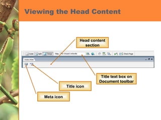 Viewing the Head Content Title text box on Document toolbar Title icon Meta icon Head content section 