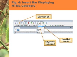 Fig. 4: Insert Bar Displaying  HTML Category  Common tab Head list arrow Keywords command 