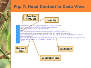 Fig. 7: Head Content in Code View Opening HTML tag Head tag Description tags Description Keyword tags 