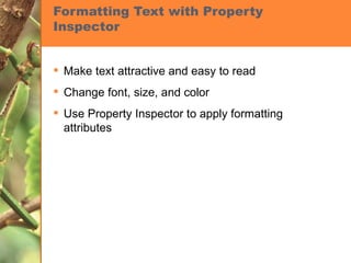 Formatting Text with Property Inspector Make text attractive and easy to read Change font, size, and color Use Property Inspector to apply formatting attributes 