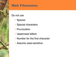 Web Filenames Do not use Spaces Special characters Punctuation Uppercase letters Number for the first character Assume case-sensitive 