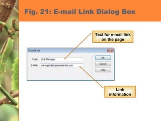 Fig. 21: E-mail Link Dialog Box Link information Text for e-mail link on the page 