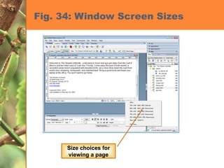 Fig. 34: Window Screen Sizes Size choices for viewing a page 
