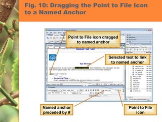 Fig. 10: Dragging the Point to File Icon to a Named Anchor Point to File icon dragged to named anchor Named anchor preceded by # Selected text to link to named anchor Point to File icon 